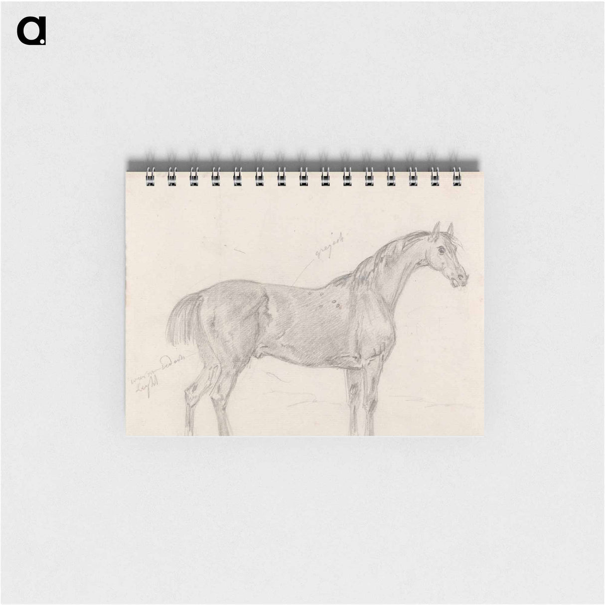 アートメモ帳-Horse Standing, Side View Facing Right
- イェール大学アートギャラリー Memo.