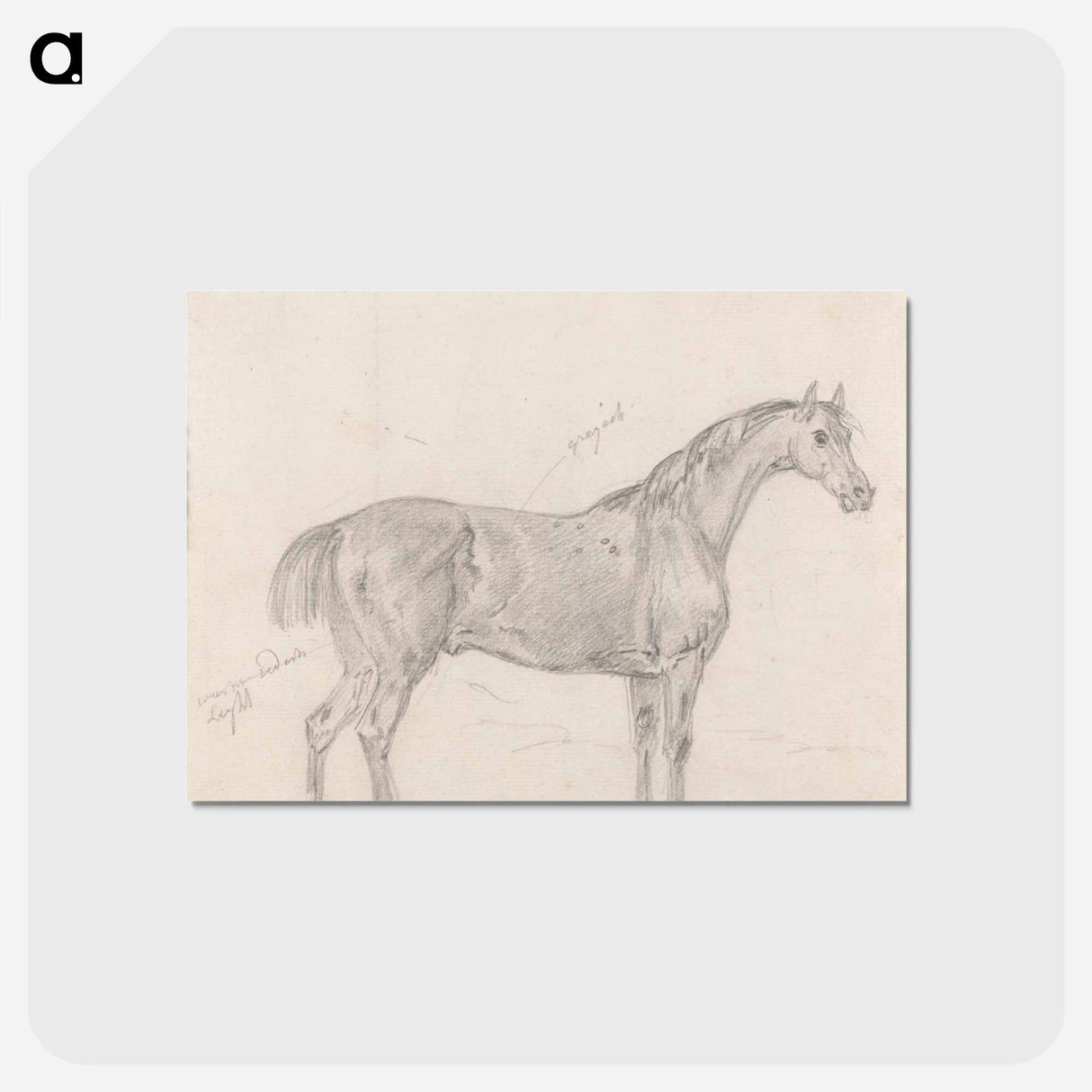 アートポストカード-Horse Standing, Side View Facing Right
- イェール大学アートギャラリー Postcard.