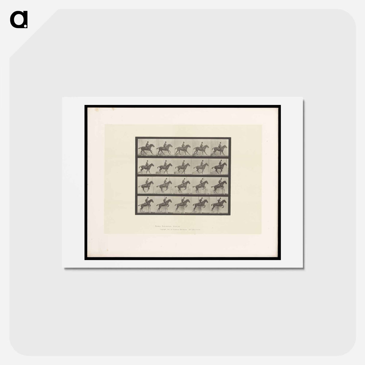 アートポストカード-The Horse in Motion
- エドワード マイブリッジ Postcard.
