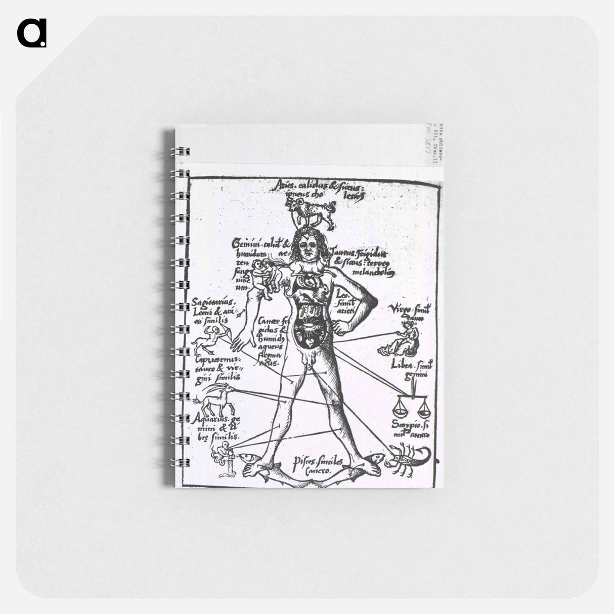 アートメモ帳-Zodiac Man
- 国立医学図書館 Memo.