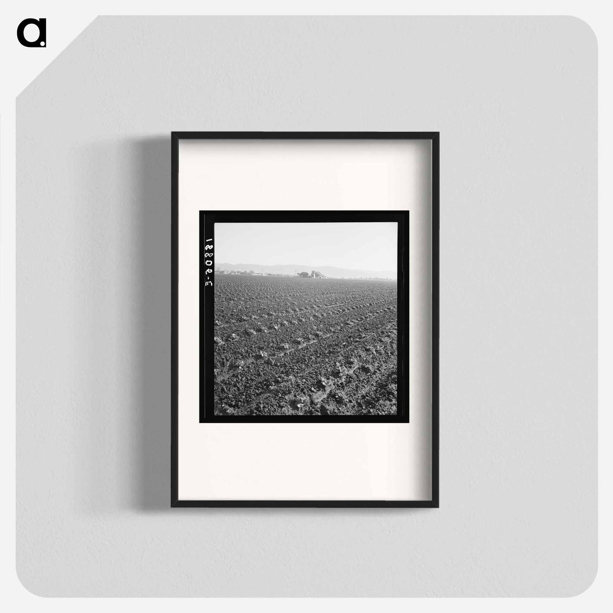 Untitled photo - Dorothea Lange Poster.