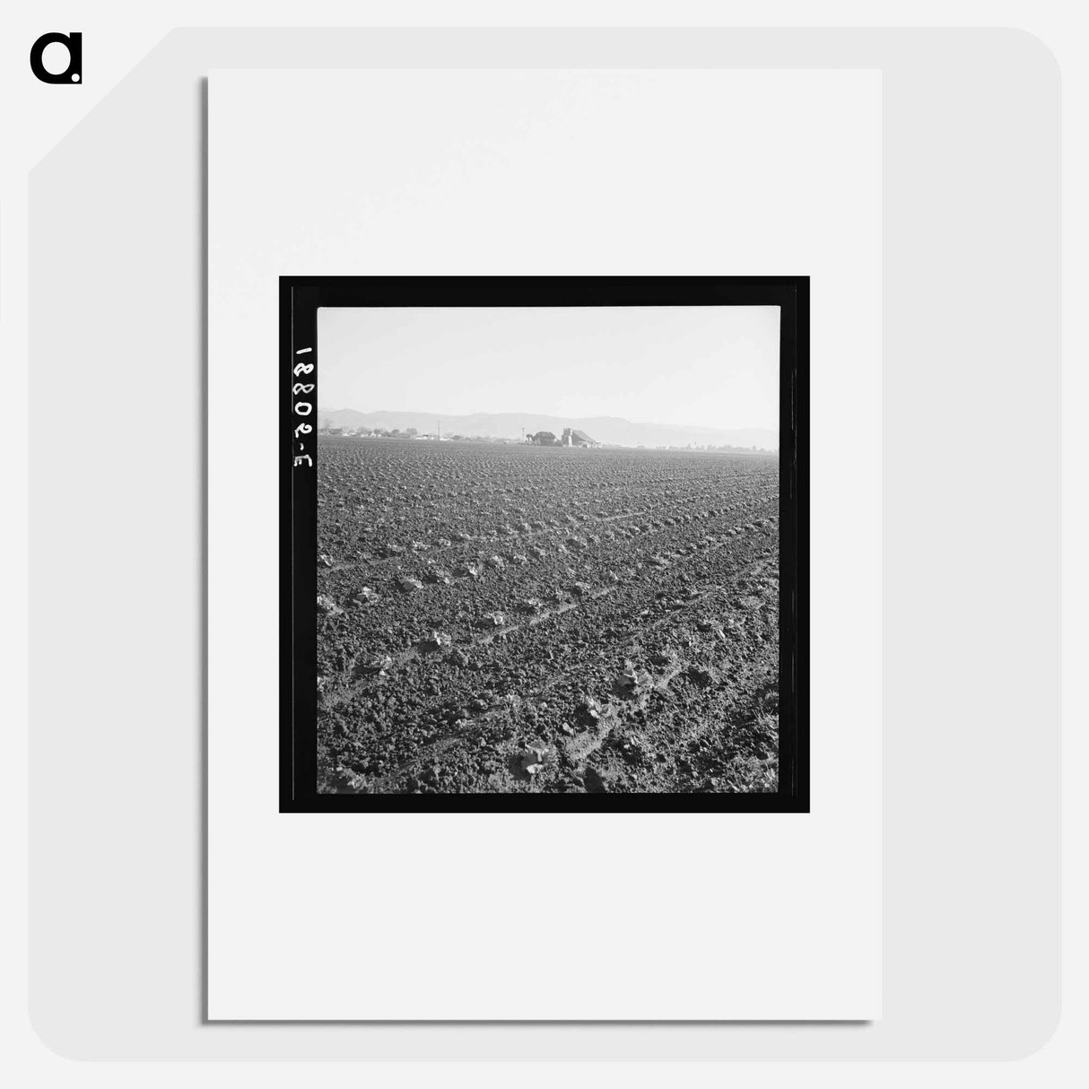 Untitled photo - Dorothea Lange Poster.