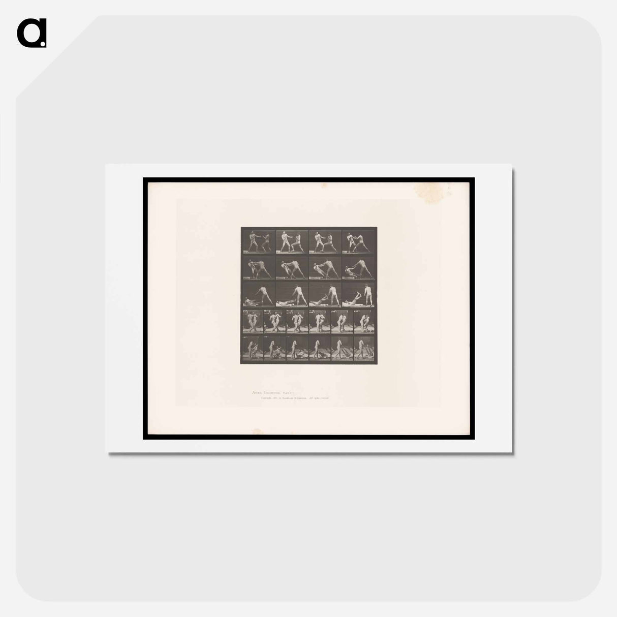 アートポストカード-Boxing Fall
- エドワード マイブリッジ Postcard.