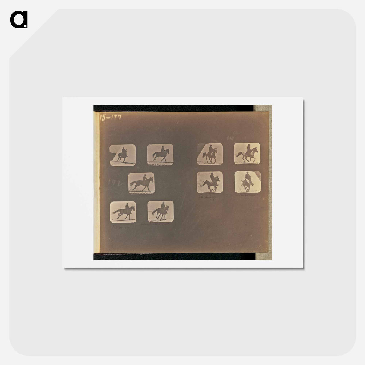 アートポストカード-Running. Cantering
- エドワード マイブリッジ Postcard.