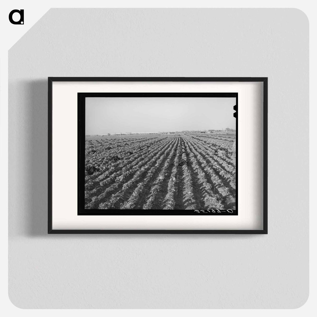 アートポスター-Cabbage Field, Bexar County
- ラッセル リー Poster.