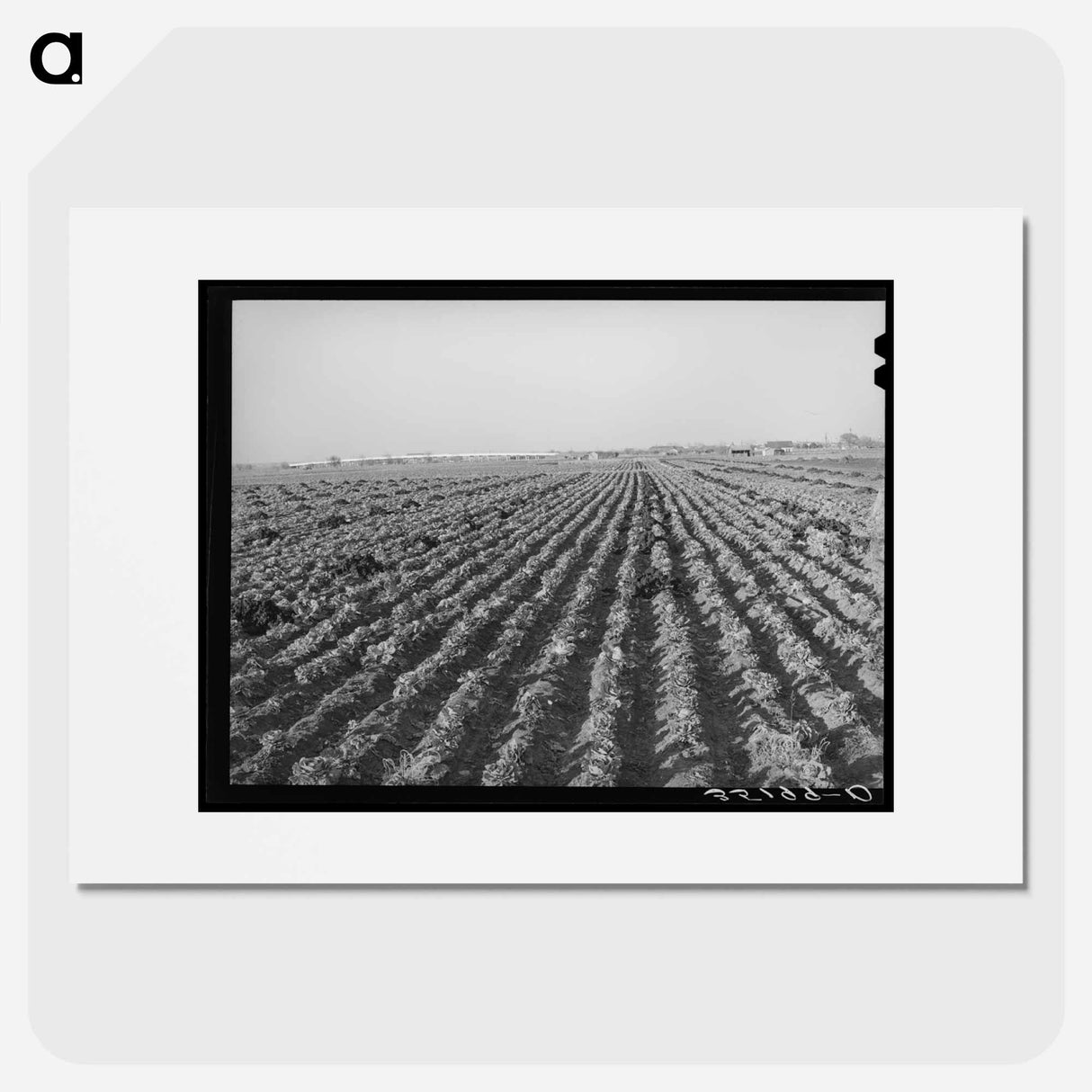 アートポスター-Cabbage Field, Bexar County
- ラッセル リー Poster.