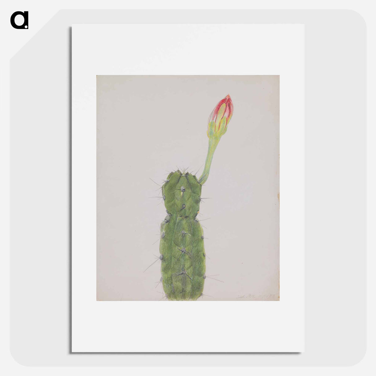 アートポスター-Cactus
- セントルイス美術館 Poster.