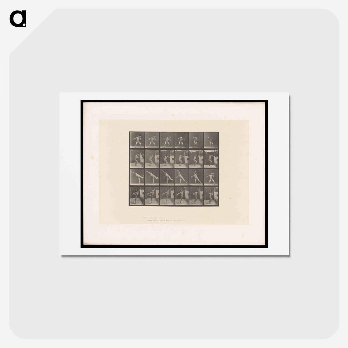 アートポストカード-The Thrower
- エドワード マイブリッジ Postcard.