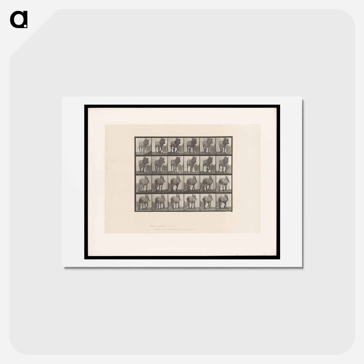 アートポストカード-Walking Horse
- エドワード マイブリッジ Postcard.