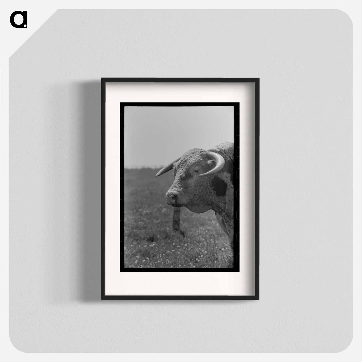 アートポスター-Bull's Head, Cruzen Ranch
- ラッセル リー Poster.
