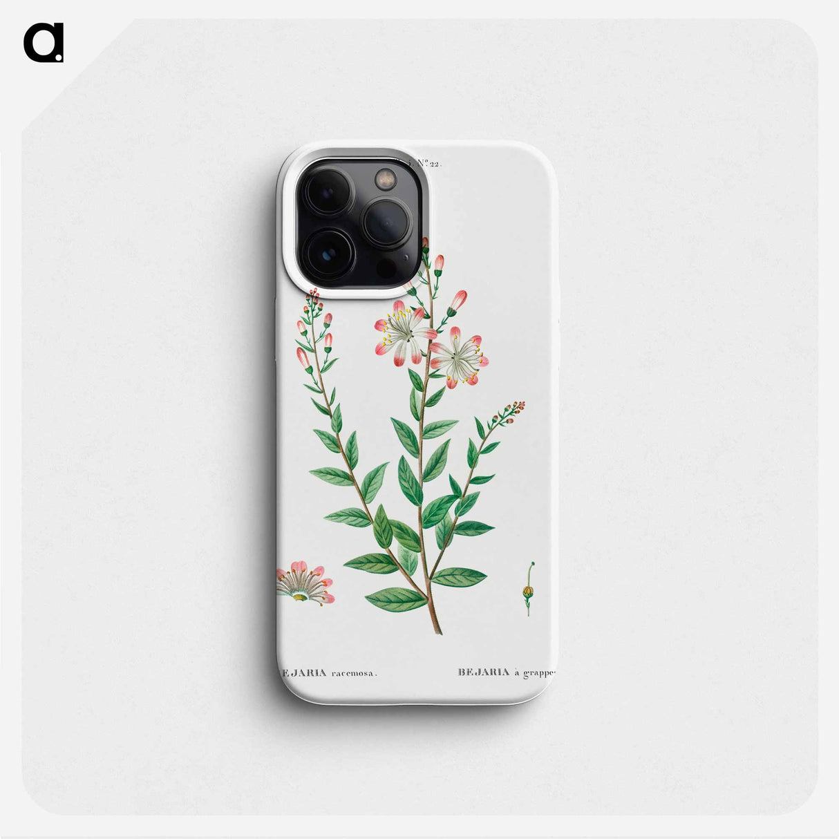 Tarflower, Bejaria racemosa - Pierre Joseph Redouté Phone Case.