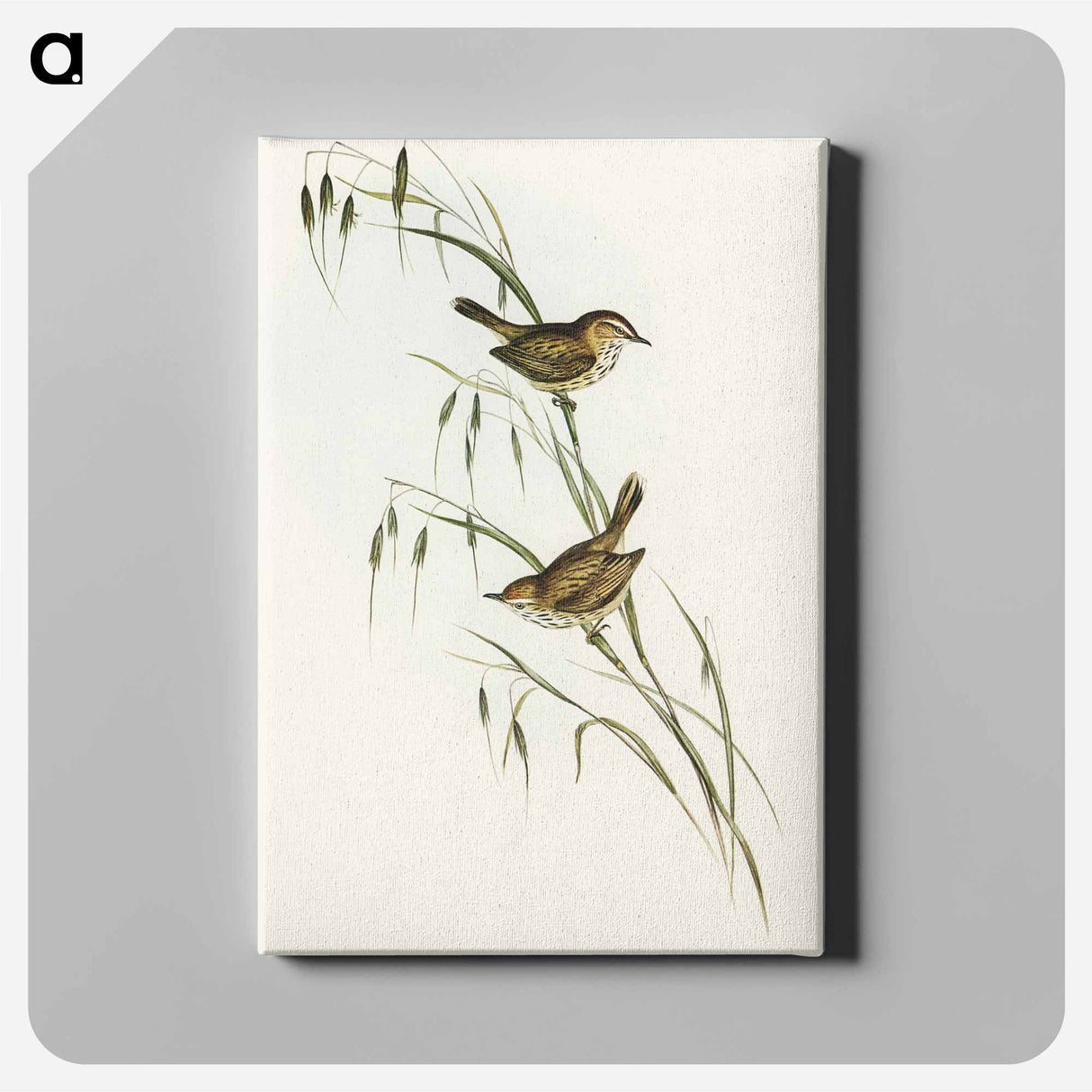 アートパネル-Field Reed Lark
- オーストラリアの鳥 Canvas.