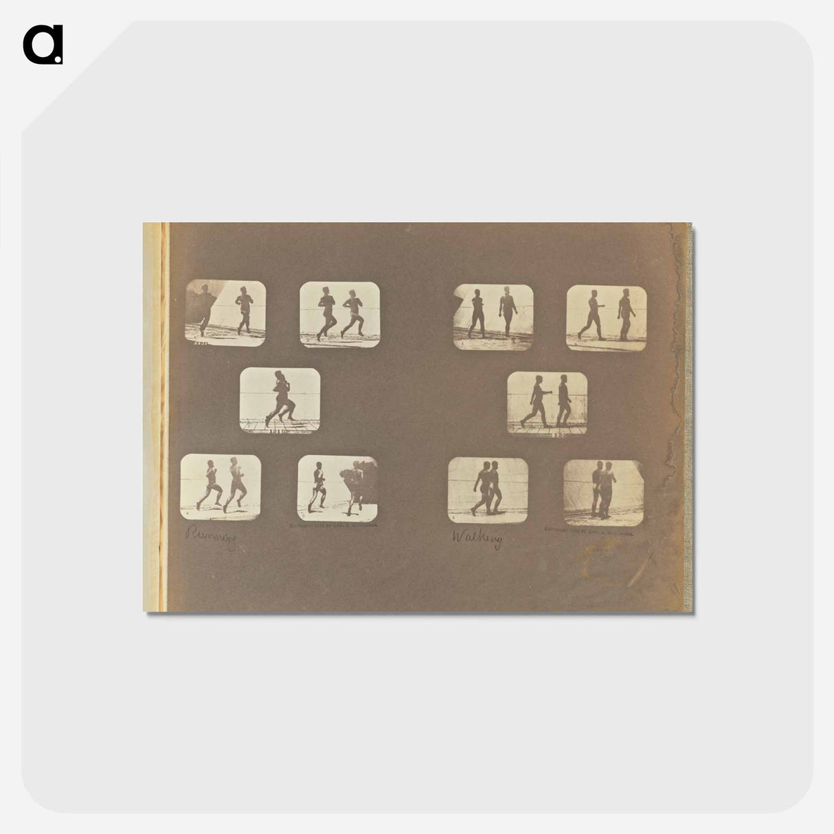 アートポストカード-Running. Walking
- エドワード マイブリッジ Postcard.