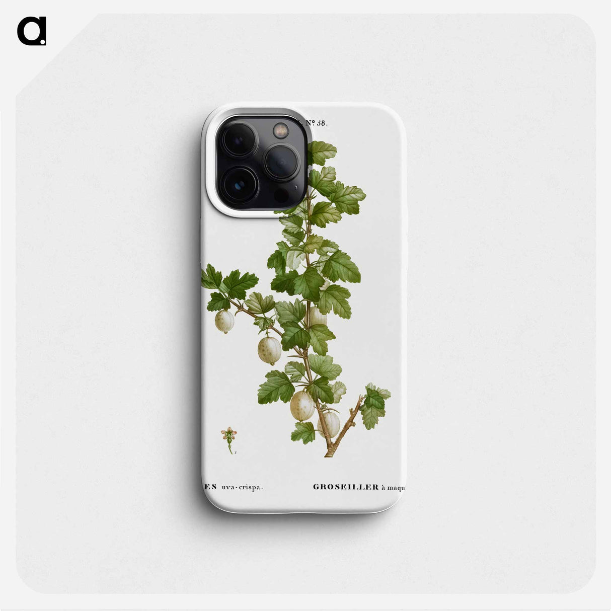 Gooseberry - ピエール ジョゼフ ルドゥーテ Phone Case.