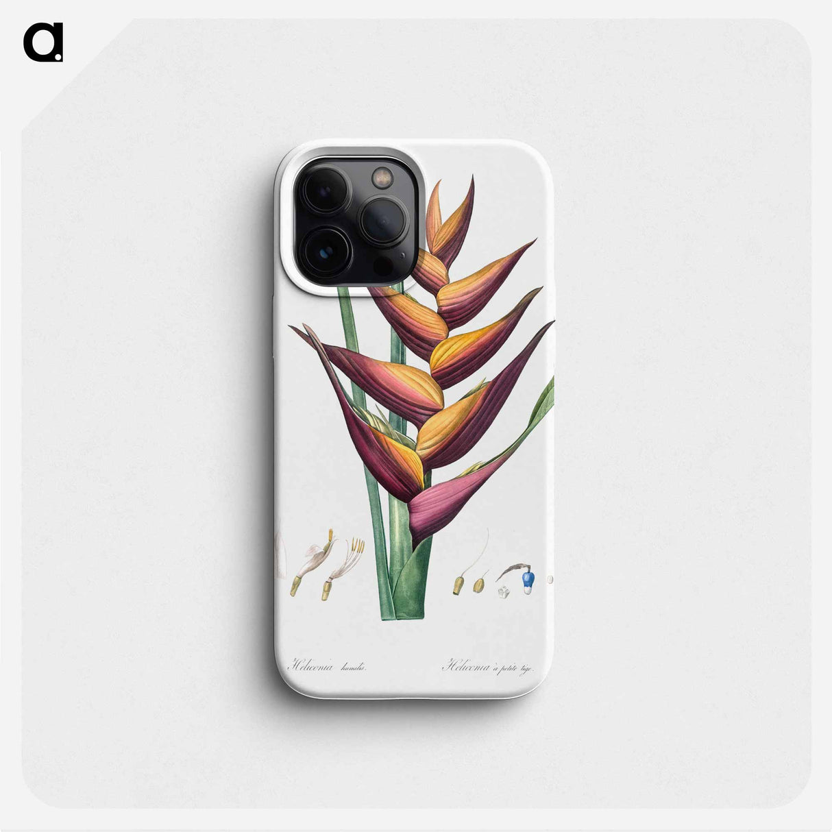 Parrot heliconia illustration - ピエール ジョゼフ ルドゥーテ Phone Case.