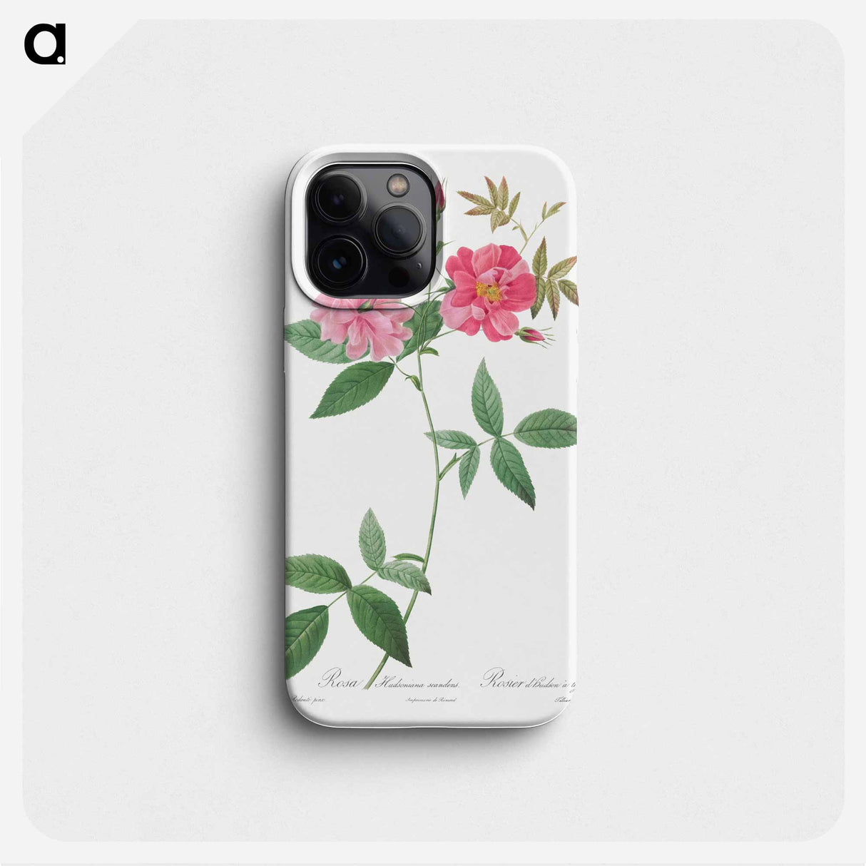 Hudson Rosehip with Climbing Stems, Rosa Hudsoniana Scandens - ピエール ジョゼフ ルドゥーテ Phone Case.
