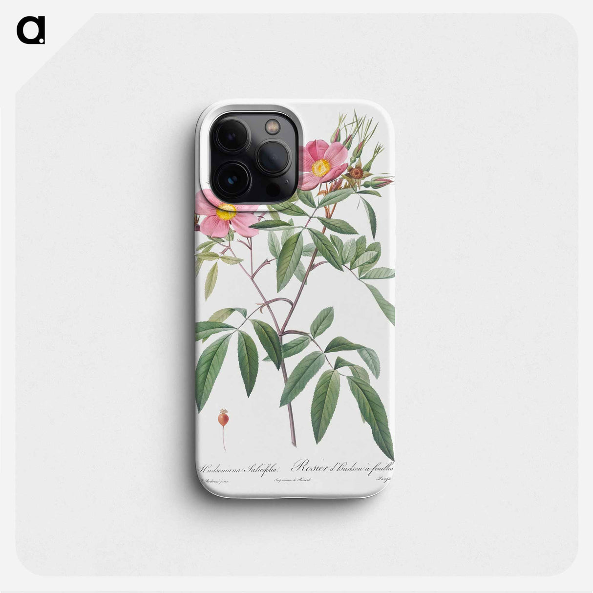 Swamp Rose - Pierre Joseph Redouté Phone Case.