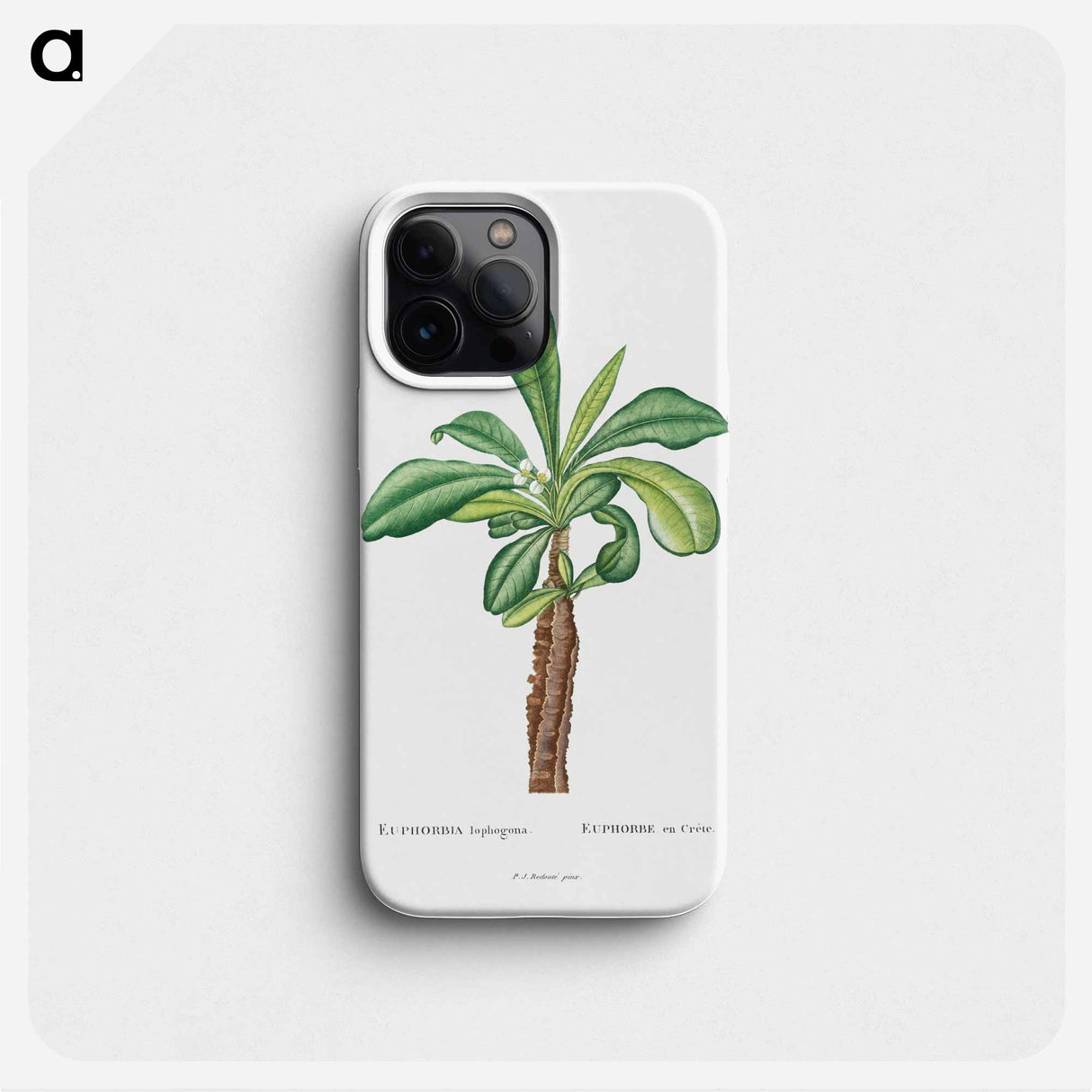 Euphorbia Lophogona - ピエール ジョゼフ ルドゥーテ Phone Case.