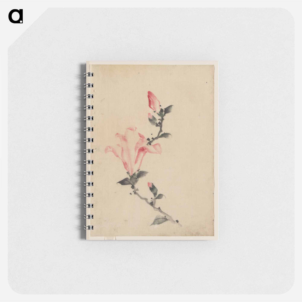 Large Pink Blossom on a Stem with Three Additional Buds - 葛飾 北斎 Memo.