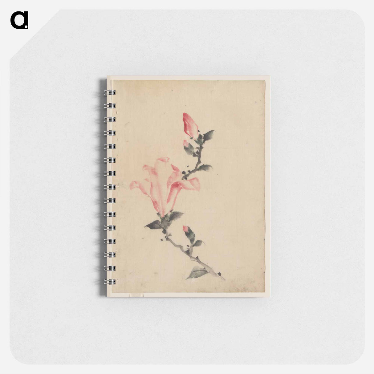 Large Pink Blossom on a Stem with Three Additional Buds - 葛飾 北斎 Memo.