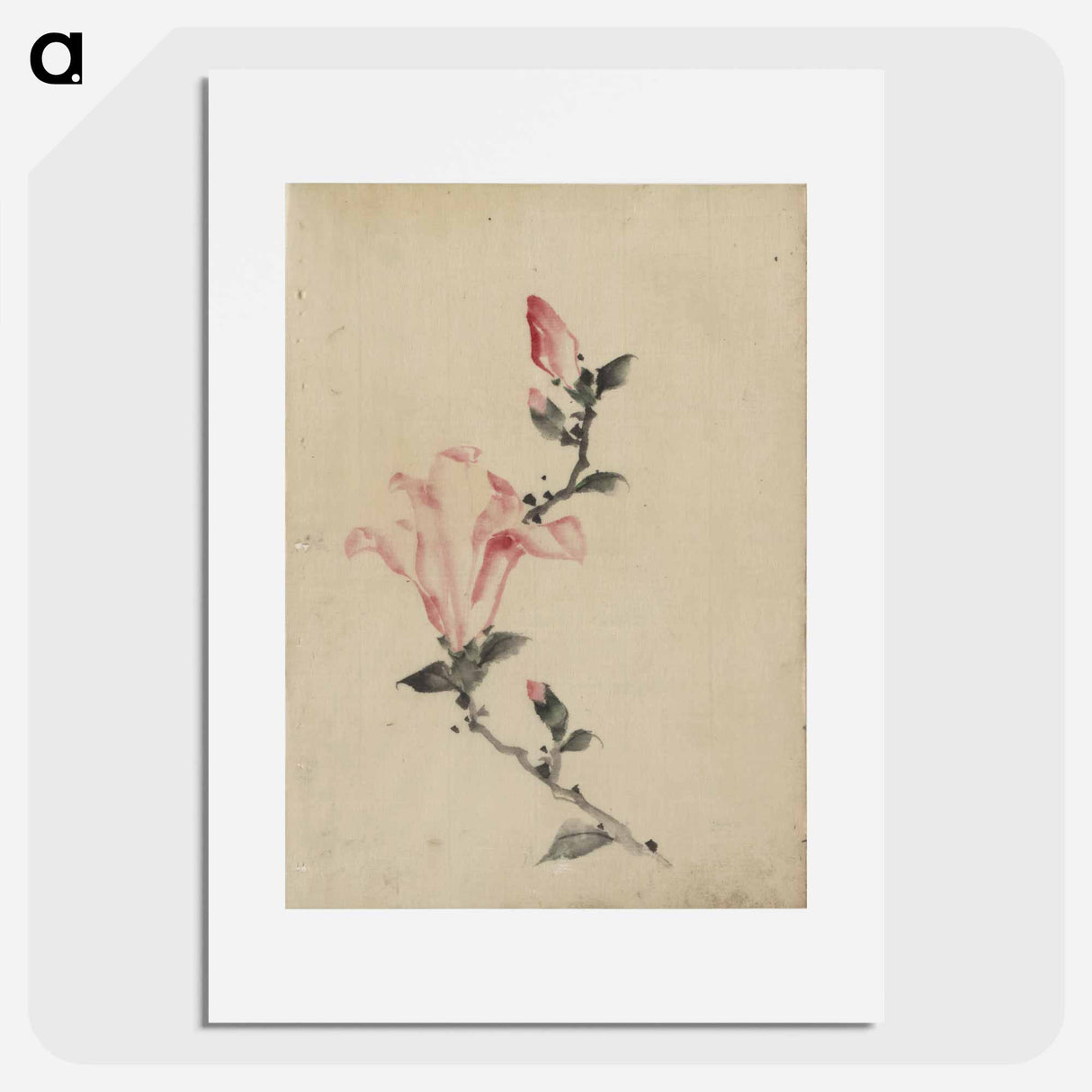 アートポスター-Large Pink Blossom on a Stem with Three Additional Buds - 葛飾 北斎 Poster.
