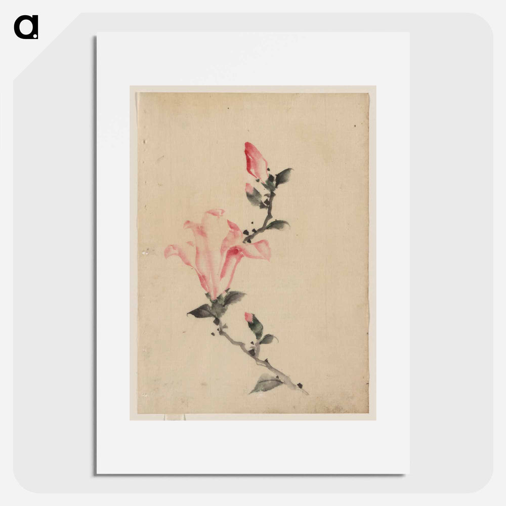 Large Pink Blossom on a Stem with Three Additional Buds - Katsushika Hokusai Poster.