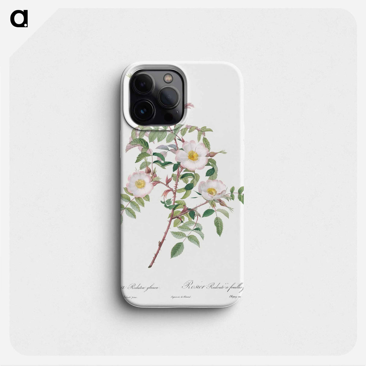 Rosa reductea glauca - Pierre Joseph Redouté Phone Case.