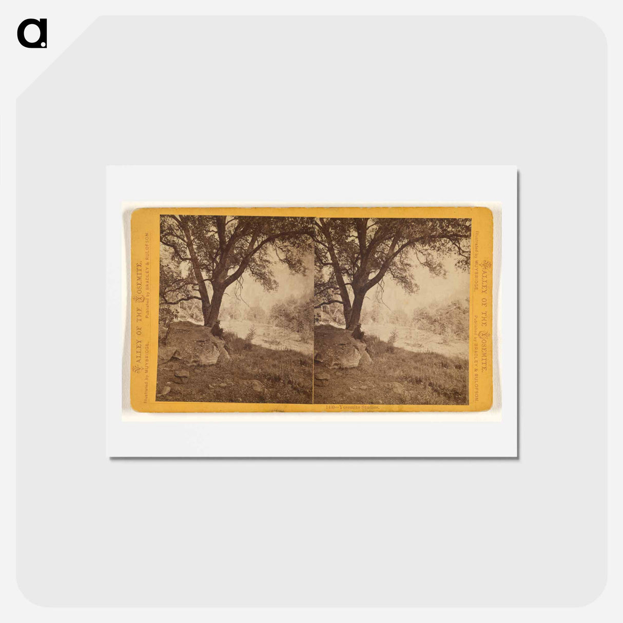 アートポストカード-Yosemite Studies
- エドワード マイブリッジ Postcard.