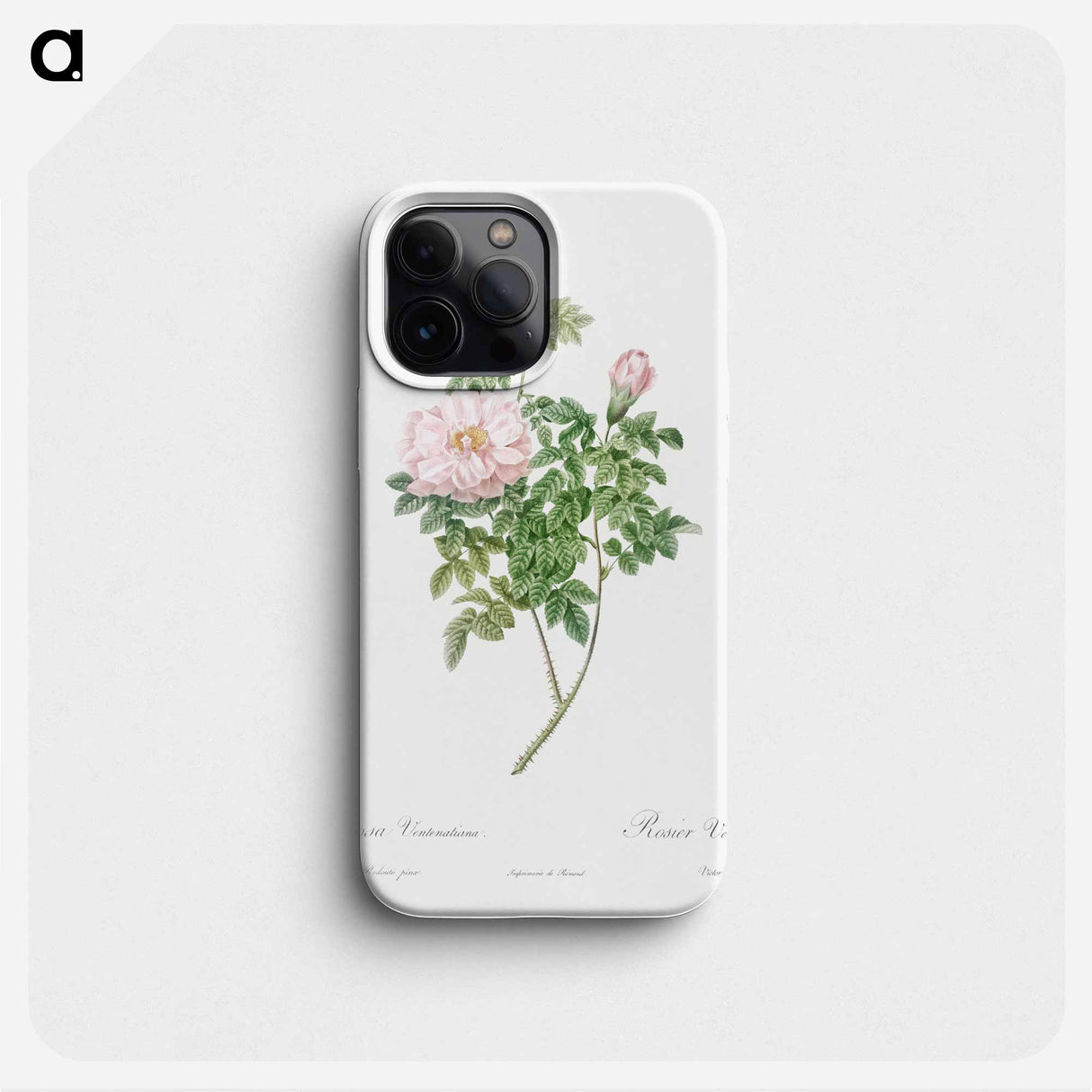 Ventenat's Rose - Pierre Joseph Redouté Phone Case.