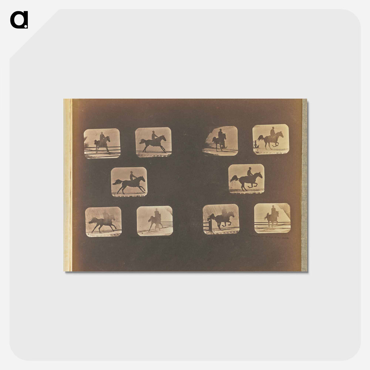 アートポストカード-Leaping
- エドワード マイブリッジ Postcard.