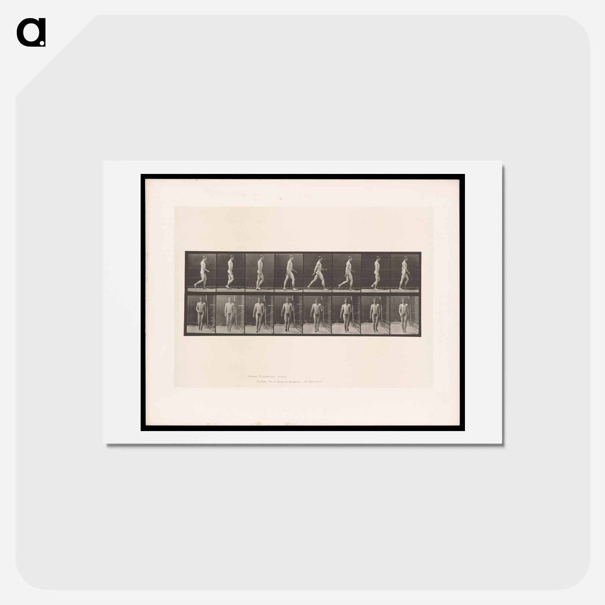 アートポストカード-Naked Man Walking
- エドワード マイブリッジ Postcard.