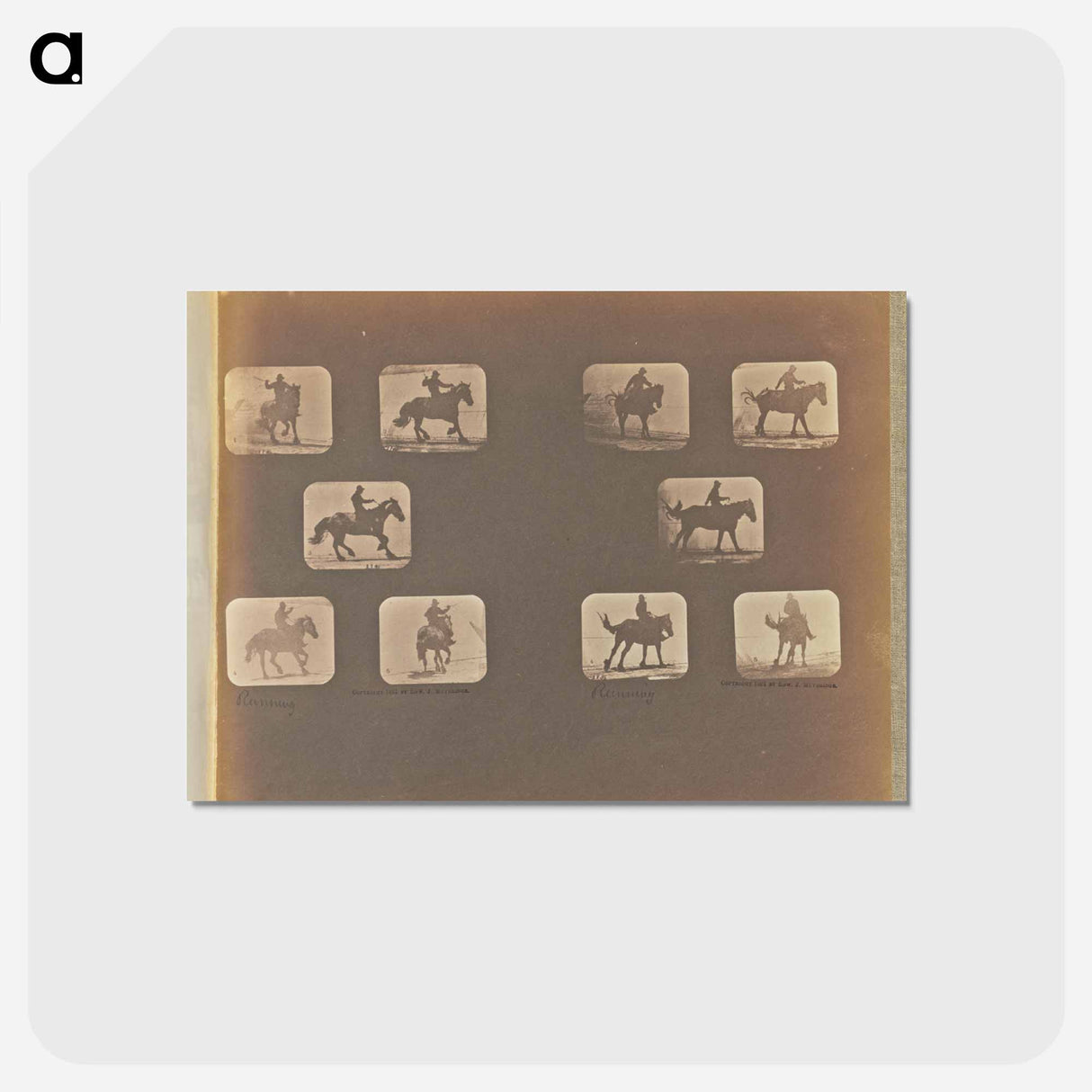アートポストカード-Running
- エドワード マイブリッジ Postcard.
