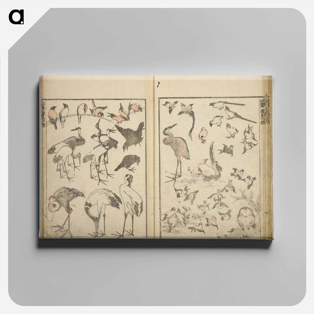 Random sketches by Hokusai volumes 1 to 11 - Katsushika Hokusai Canvas.