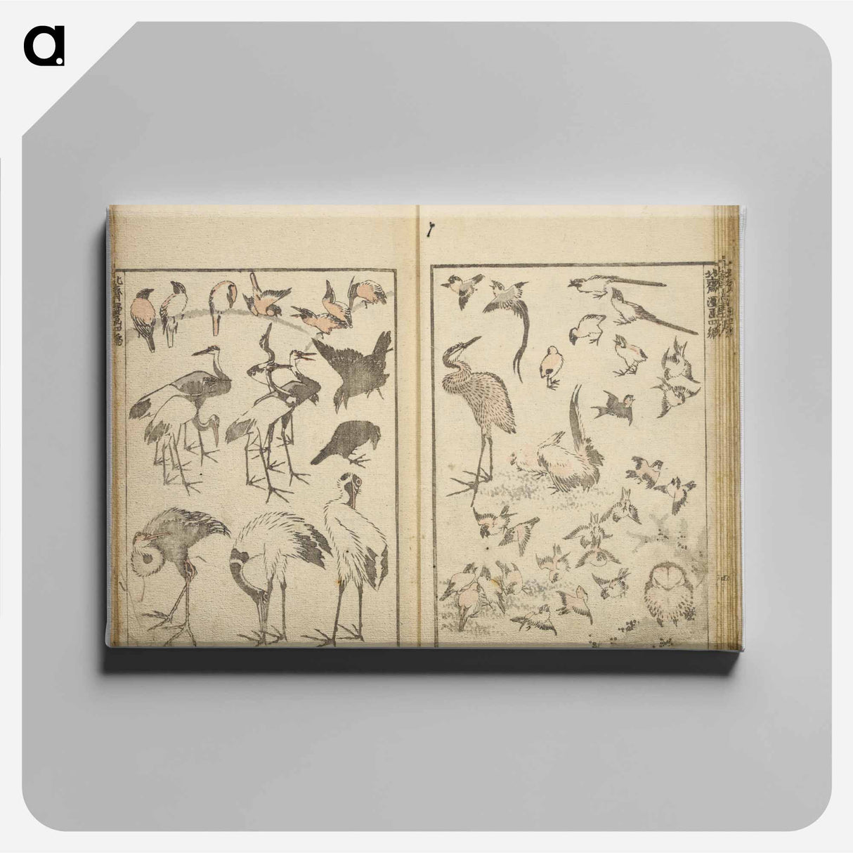 Random sketches by Hokusai volumes 1 to 11 - Katsushika Hokusai Canvas.