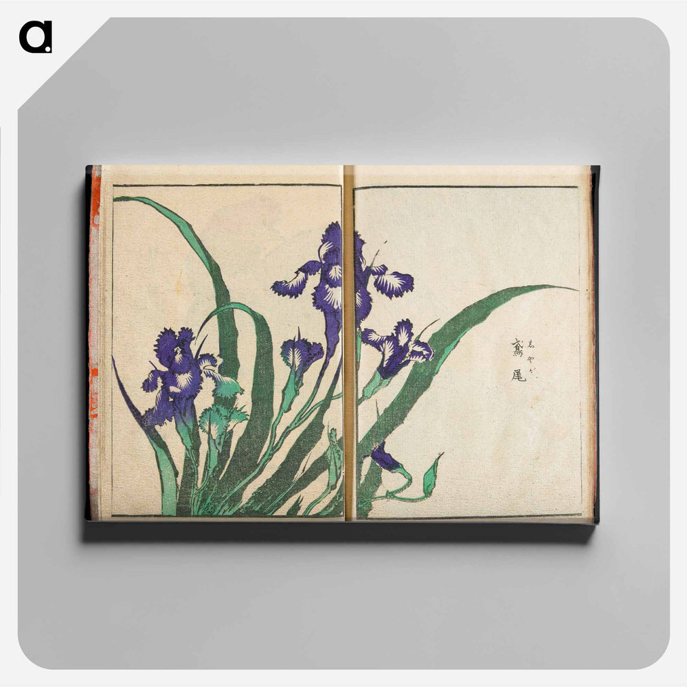 Transmitting the Spirit and Revealing the Form of Things: Hokusai's Garden of Pictures - Katsushika Hokusai Canvas.