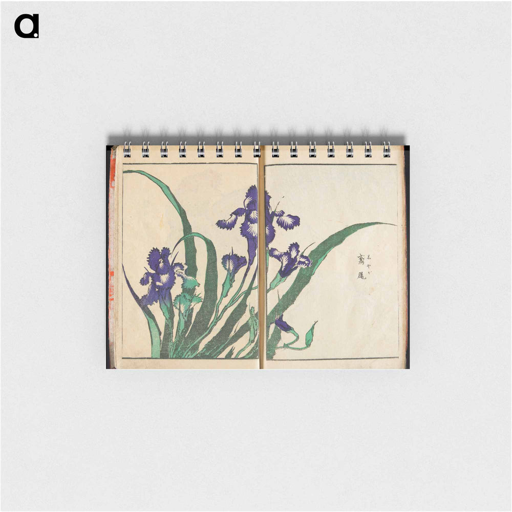 Transmitting the Spirit and Revealing the Form of Things: Hokusai's Garden of Pictures - 葛飾 北斎 Memo.