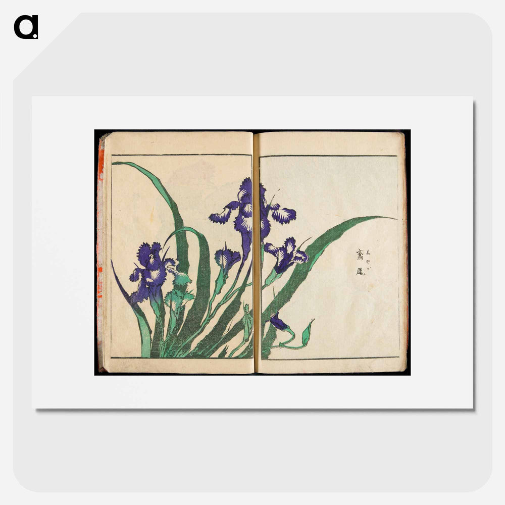 Transmitting the Spirit and Revealing the Form of Things: Hokusai's Garden of Pictures - Katsushika Hokusai Poster.