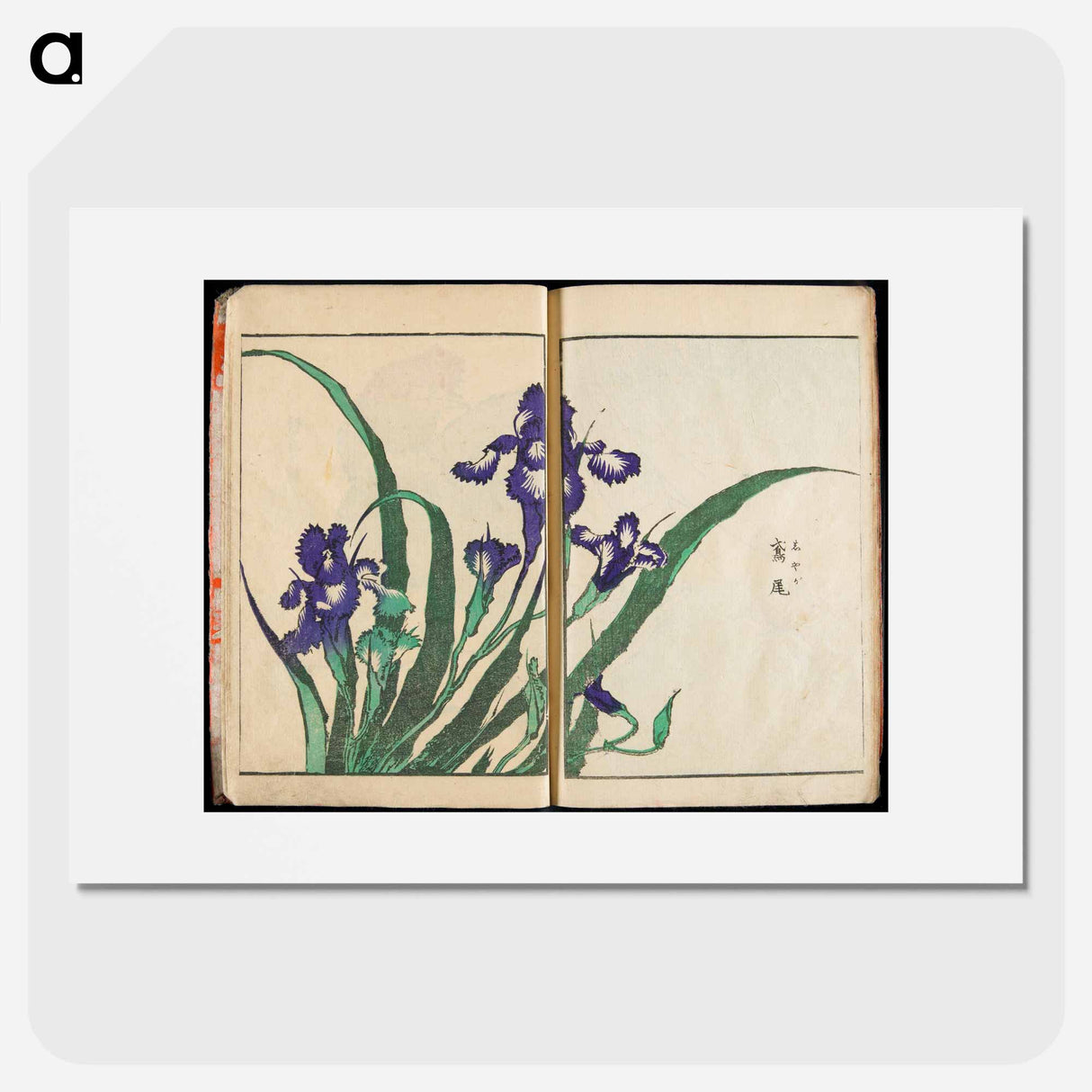 Transmitting the Spirit and Revealing the Form of Things: Hokusai's Garden of Pictures - Katsushika Hokusai Poster.