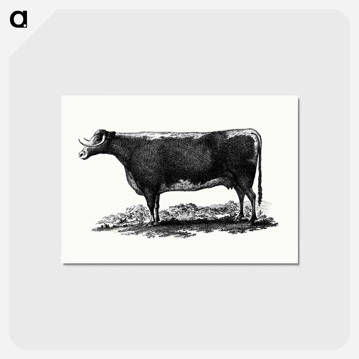 アートポストカード-Cow Illustration
- 大英図書館 Postcard.