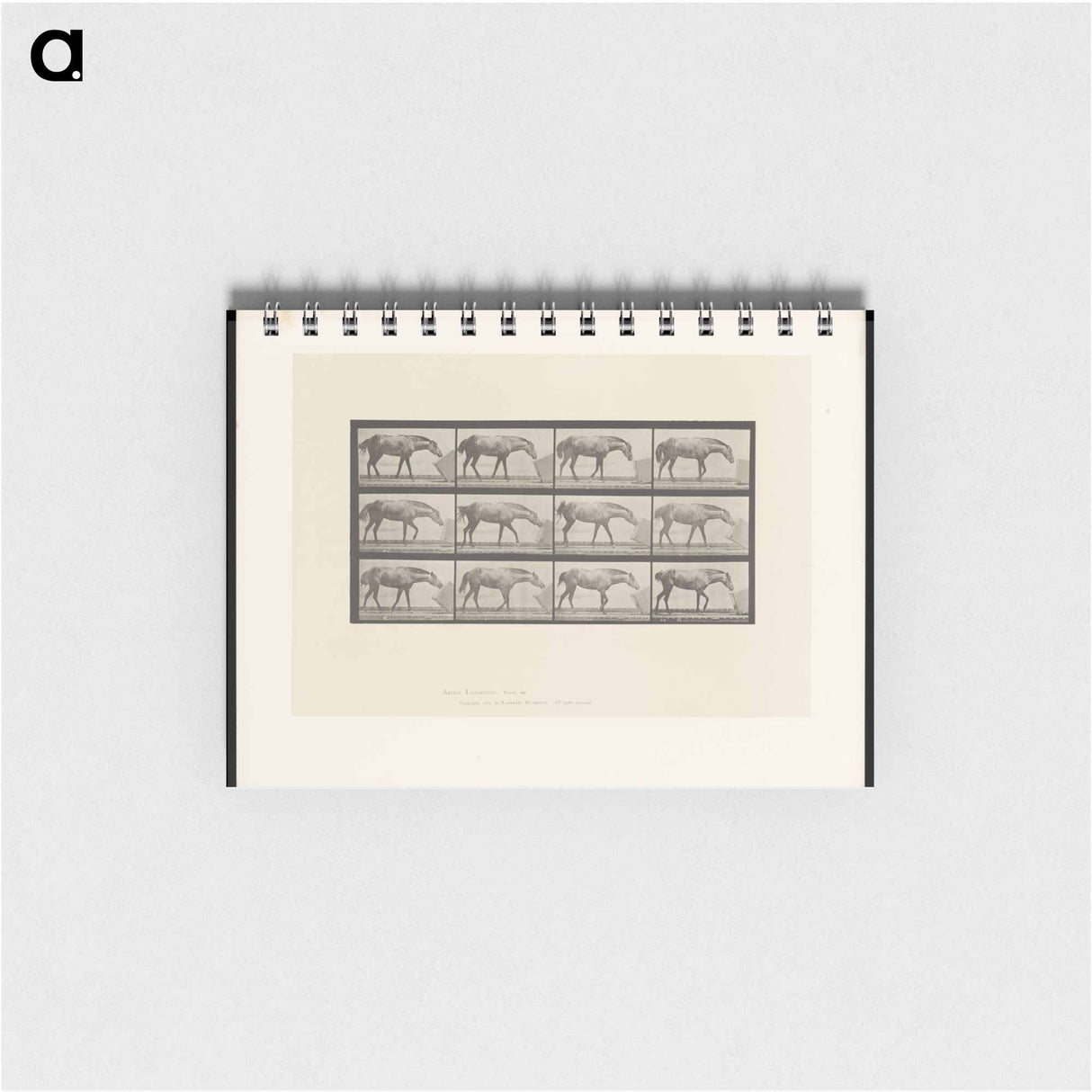 アートメモ帳-Horse and Box
- エドワード マイブリッジ Memo.