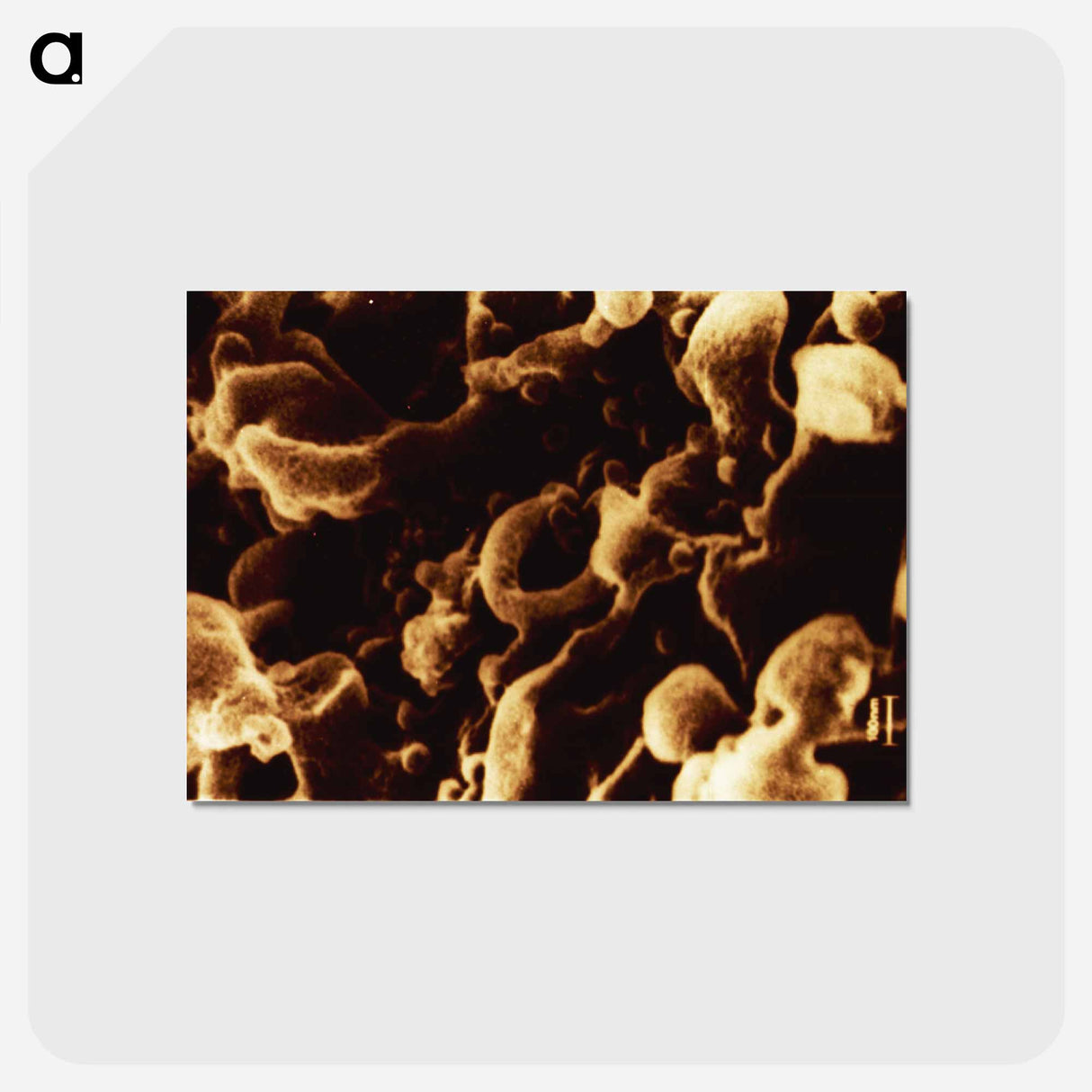 アートポストカード-Human Immunodeficiency Virus Micrograph
- 国立医学図書館 Postcard.