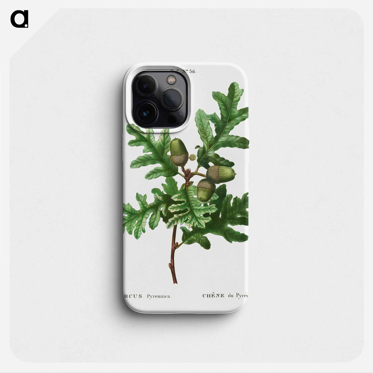 Pyrenean oak, Quercus pyrenaica - Pierre Joseph Redouté Phone Case.