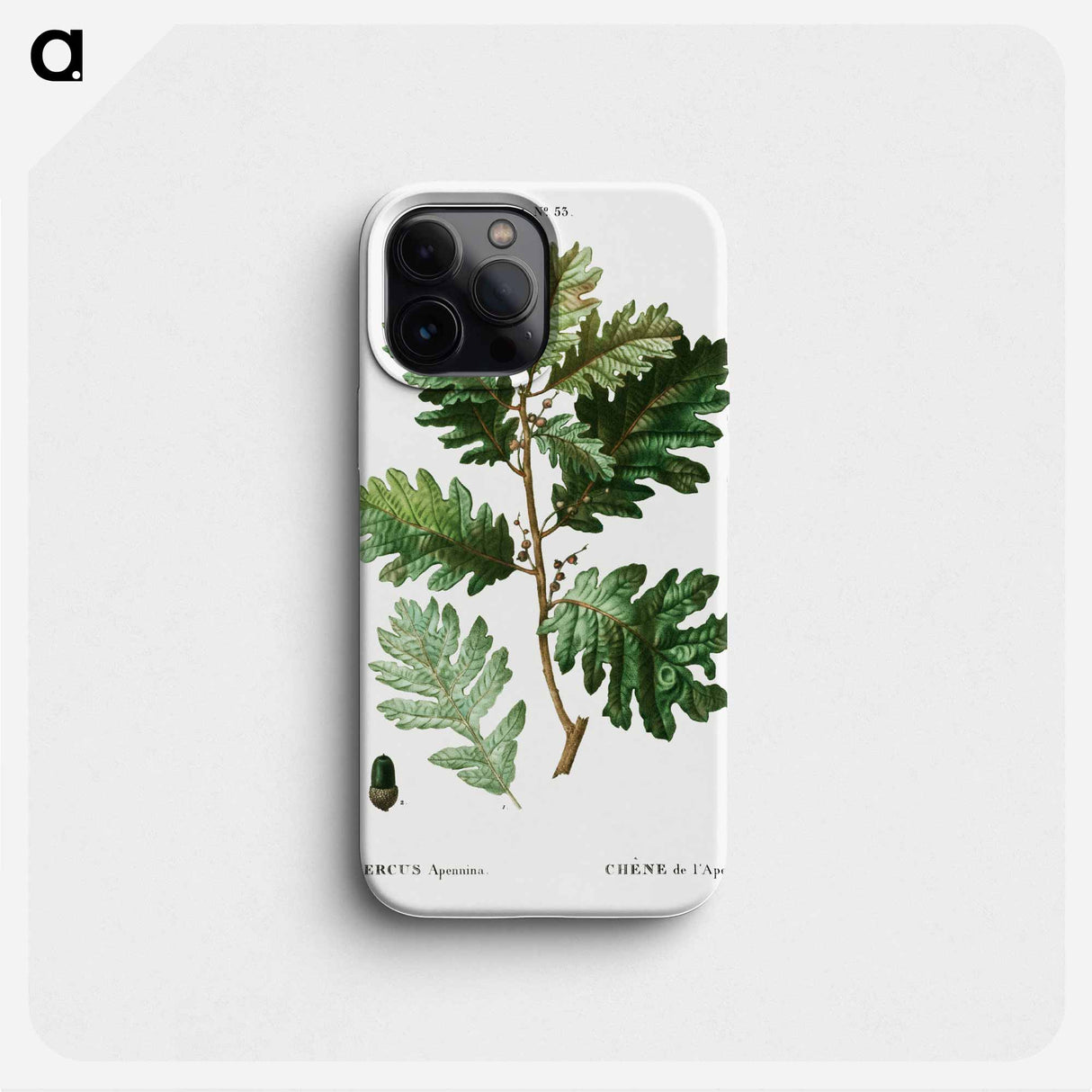 Hungarian oak - ピエール ジョゼフ ルドゥーテ Phone Case.
