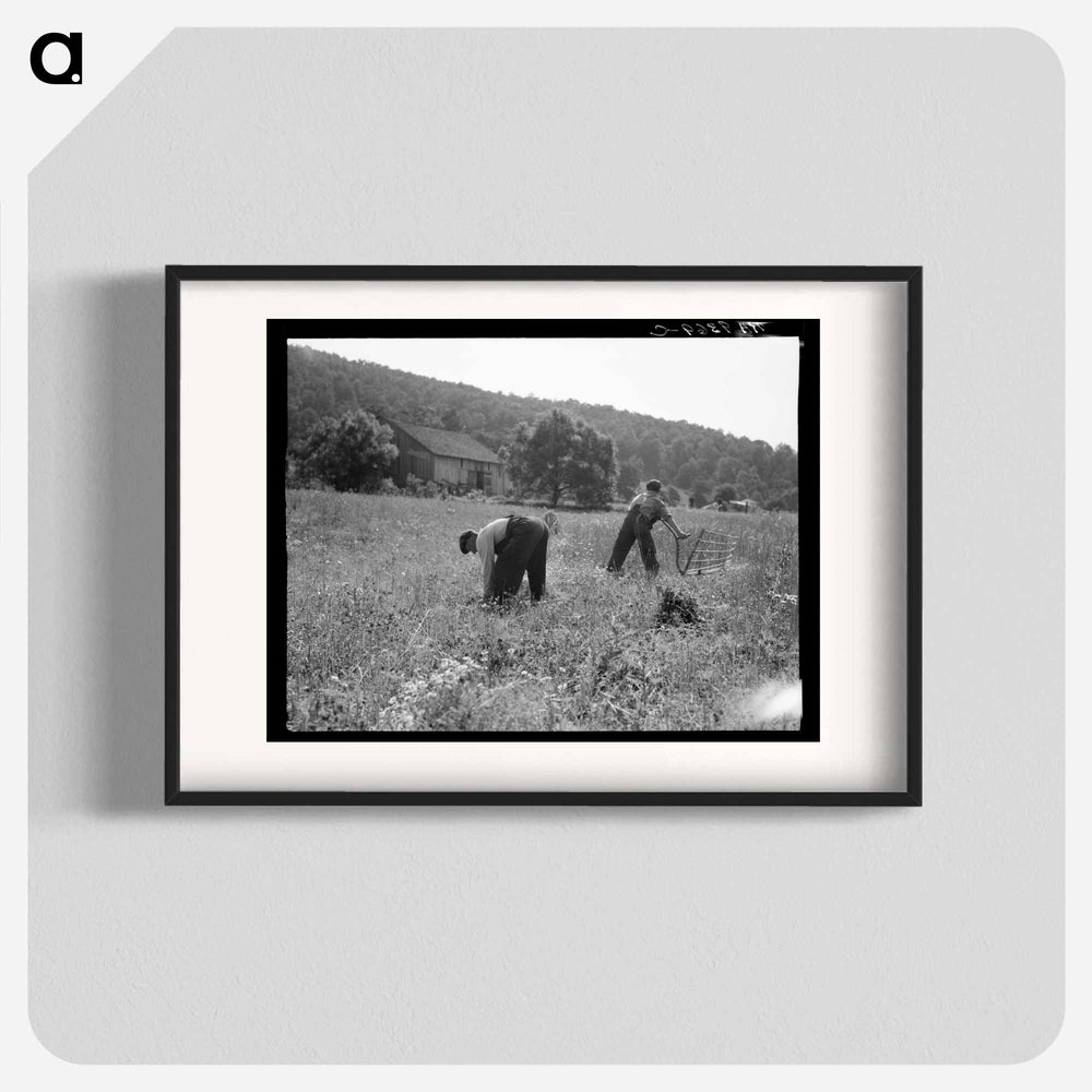 Untitled photo - Dorothea Lange Poster.