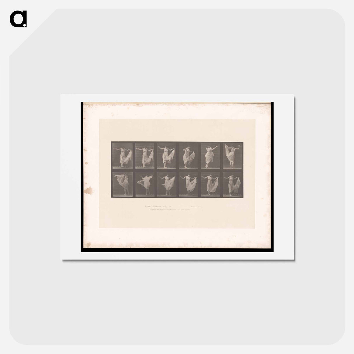 アートポストカード-Dancing Woman
- エドワード マイブリッジ Postcard.