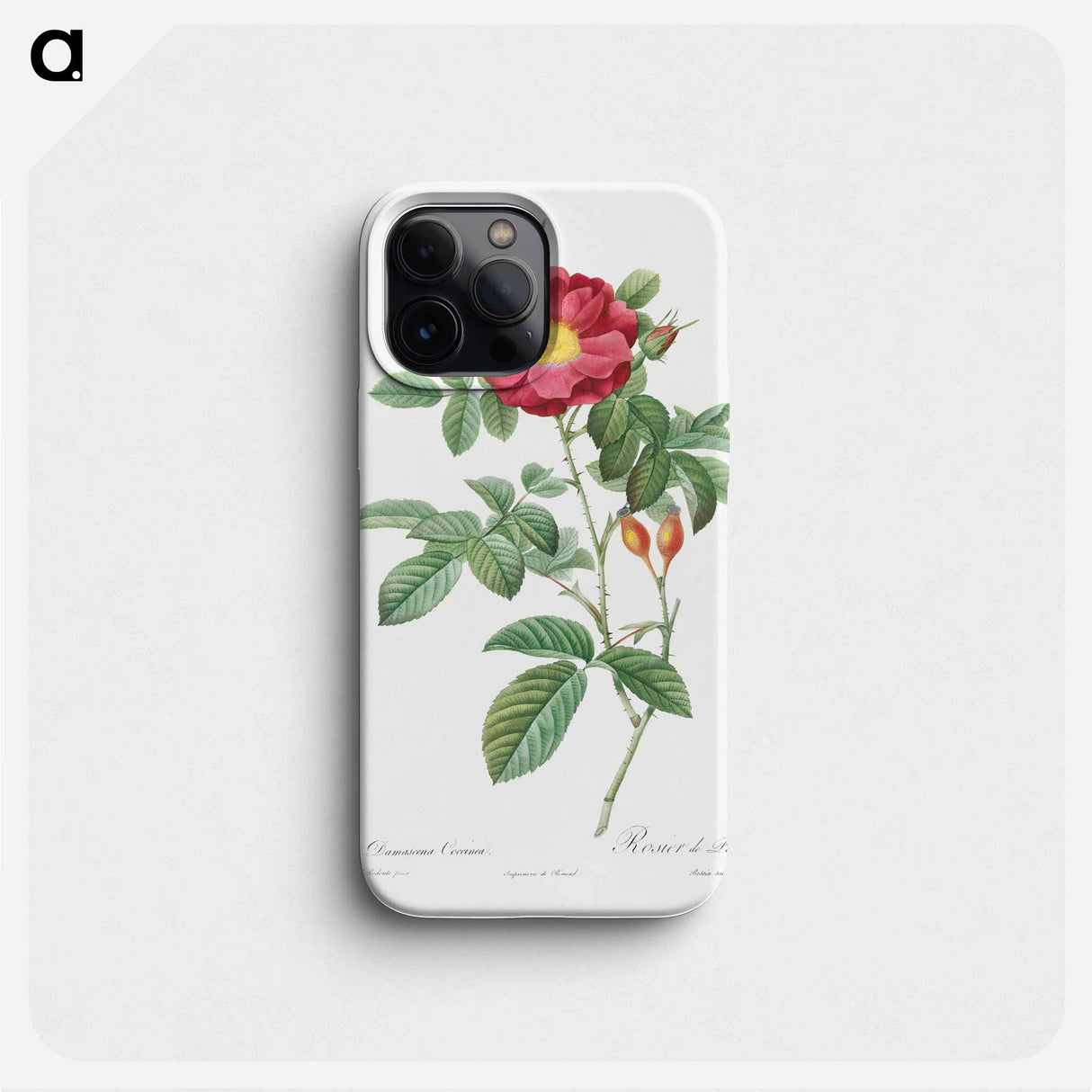 Red Portland Rose - ピエール ジョゼフ ルドゥーテ Phone Case.