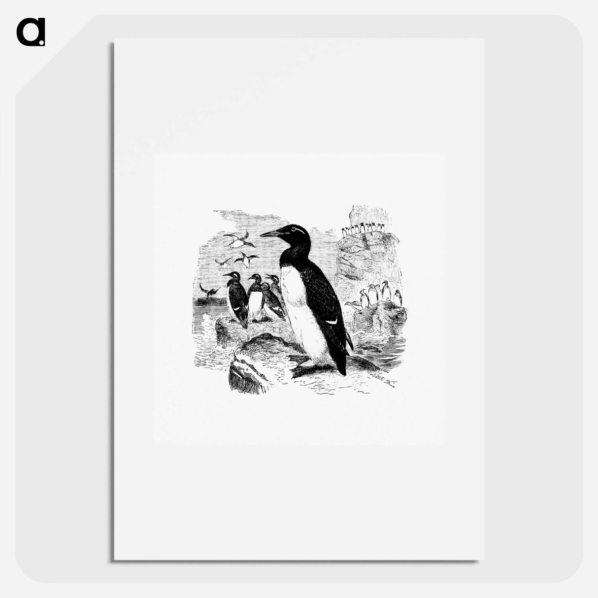 アートポスター-Victorian Style Penguins Engraving
- 大英図書館 Poster.