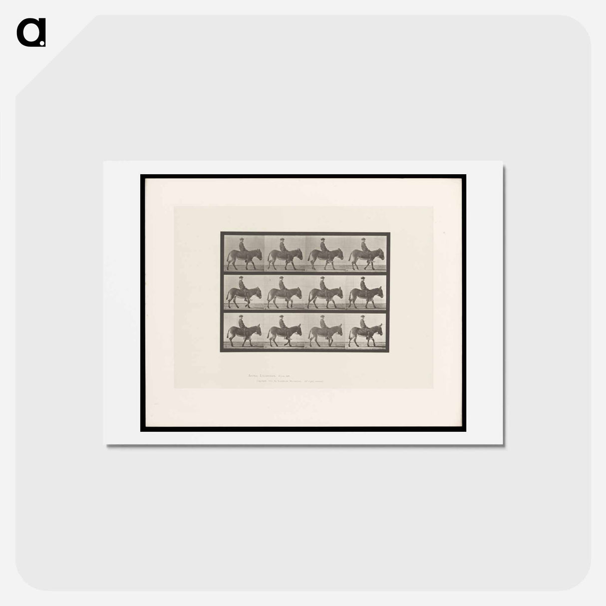 アートポストカード-Boy on Ass
- エドワード マイブリッジ Postcard.
