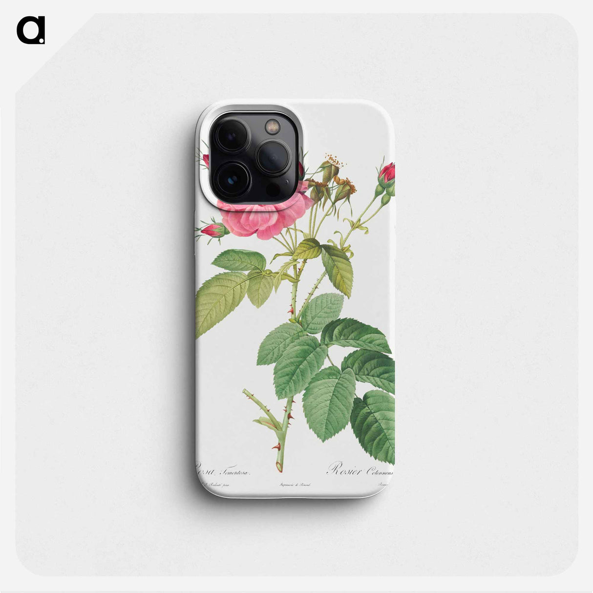 Harsh Downy Rose - ピエール ジョゼフ ルドゥーテ Phone Case.
