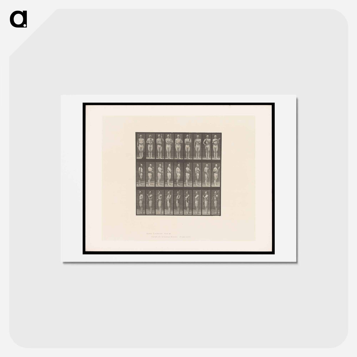 アートポストカード-Man with Rifle
- エドワード マイブリッジ Postcard.